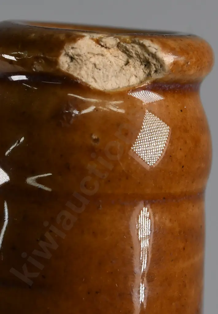 PIKE & WATERS NEW PLYMOUTH GINGER BEER Image 1++
