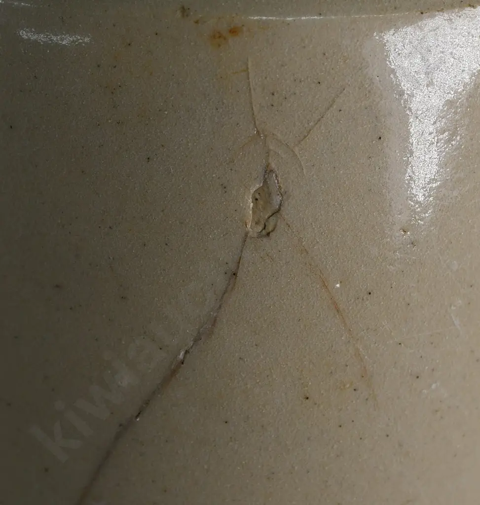 SCHUMACHER LYTTELTON GINGER BEER Image 1++