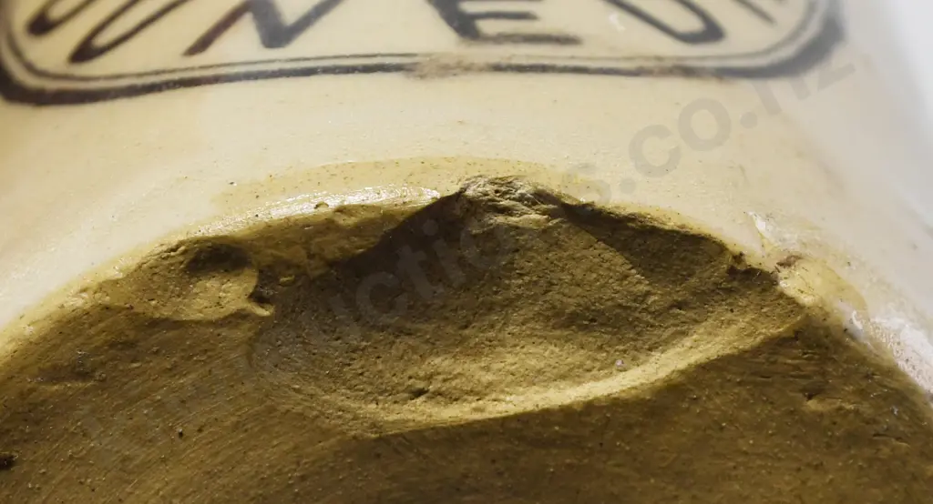 WEST DUNEDIN GINGER BEER Image 1++