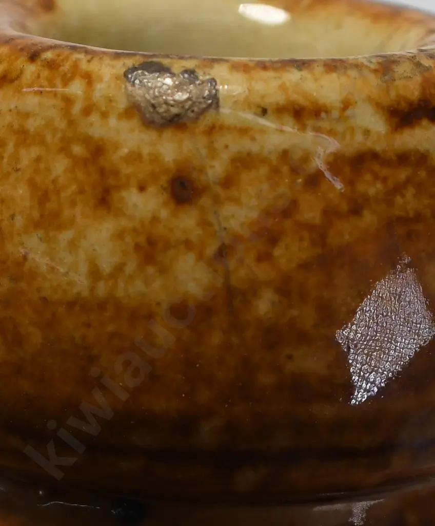 CURTIS LYTTELTON GINGER BEER Image 1++