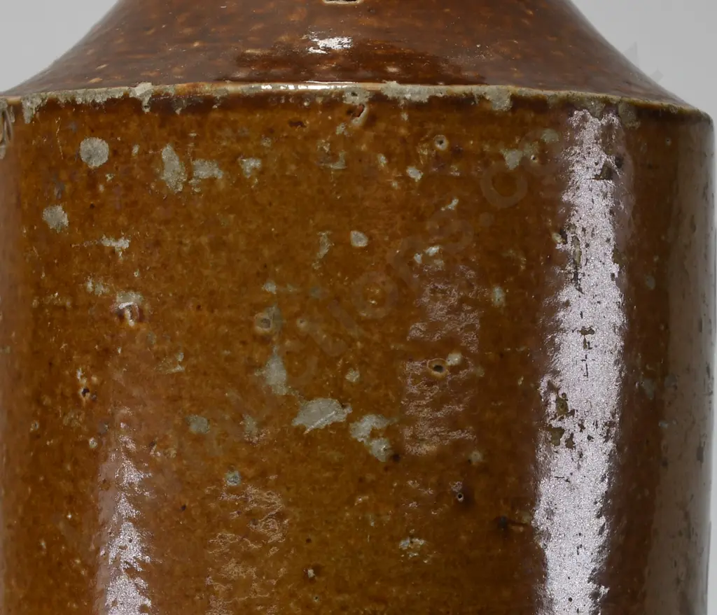 DODSON (BLENHEIM) GINGER BEER Image 1++