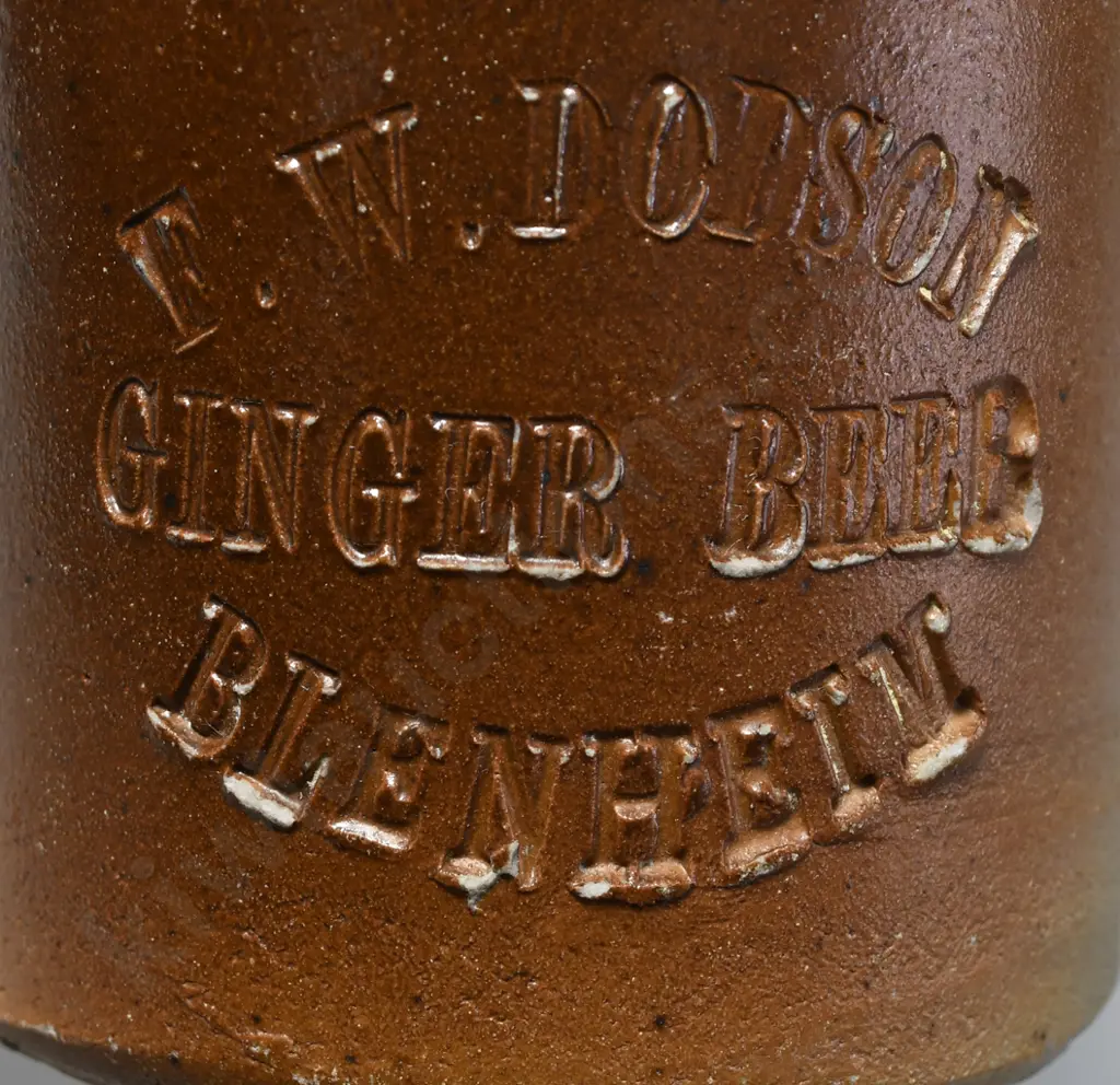 DODSON BLENHEIM GINGER BEER Image 1++