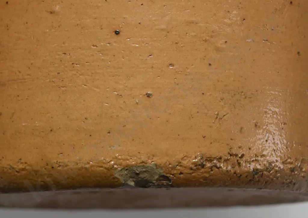 THOMSON DUNEDIN GINGER BEER Image 1++