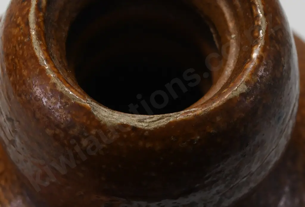 THOMSON DUNEDIN GINGER BEER Image 1++