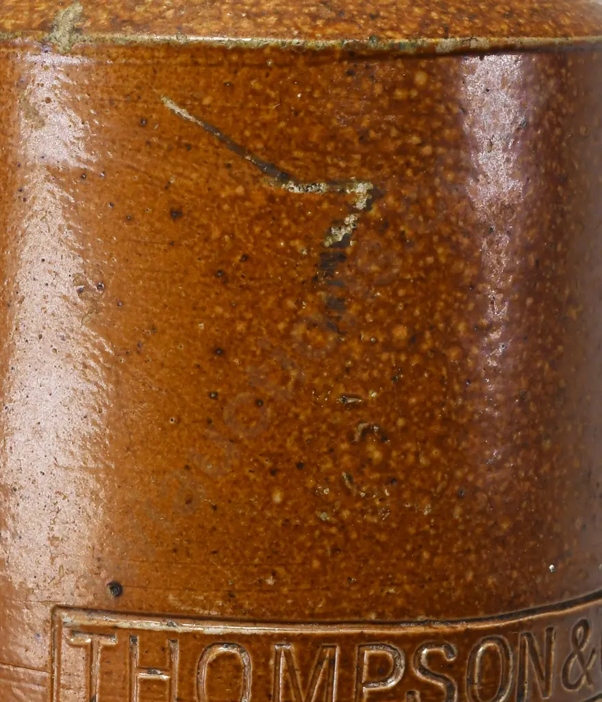 THOMSON DUNEDIN GINGER BEER Image 1++
