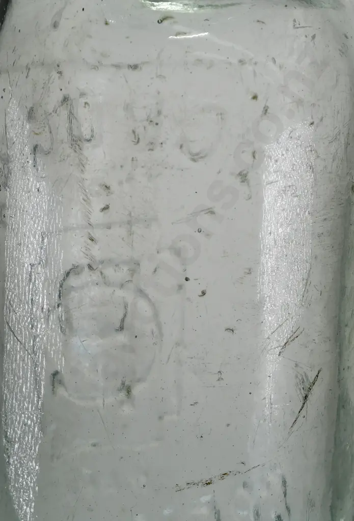 GROGAN GREYMOUTH CODD Image 1++