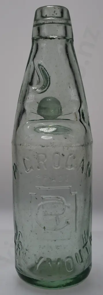 GROGAN GREYMOUTH CODD Image 1++