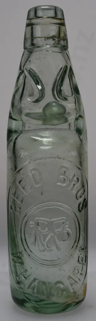 REED BROS WHANGAREI CODD Image 1++
