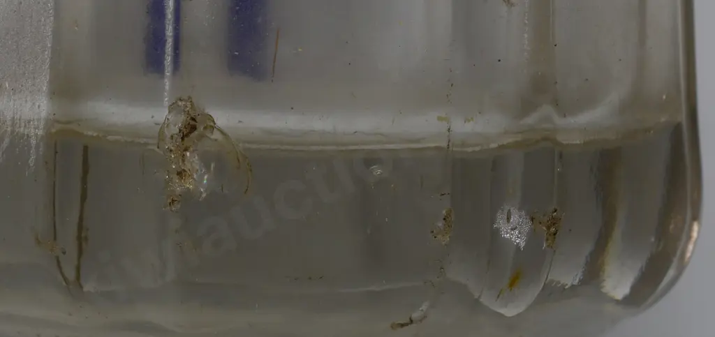 WESTBURY AUCKLAND SYPHON Image 1++