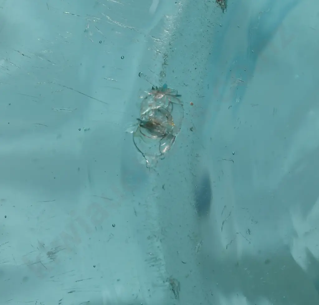 BRASSERIE DU SICAMBRE REIMS TURQUOISE SODA SYPHON Image 1++