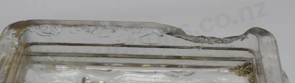 HAYNE DUNEDIN CORALITE GLASS LID & BASE Image 1++