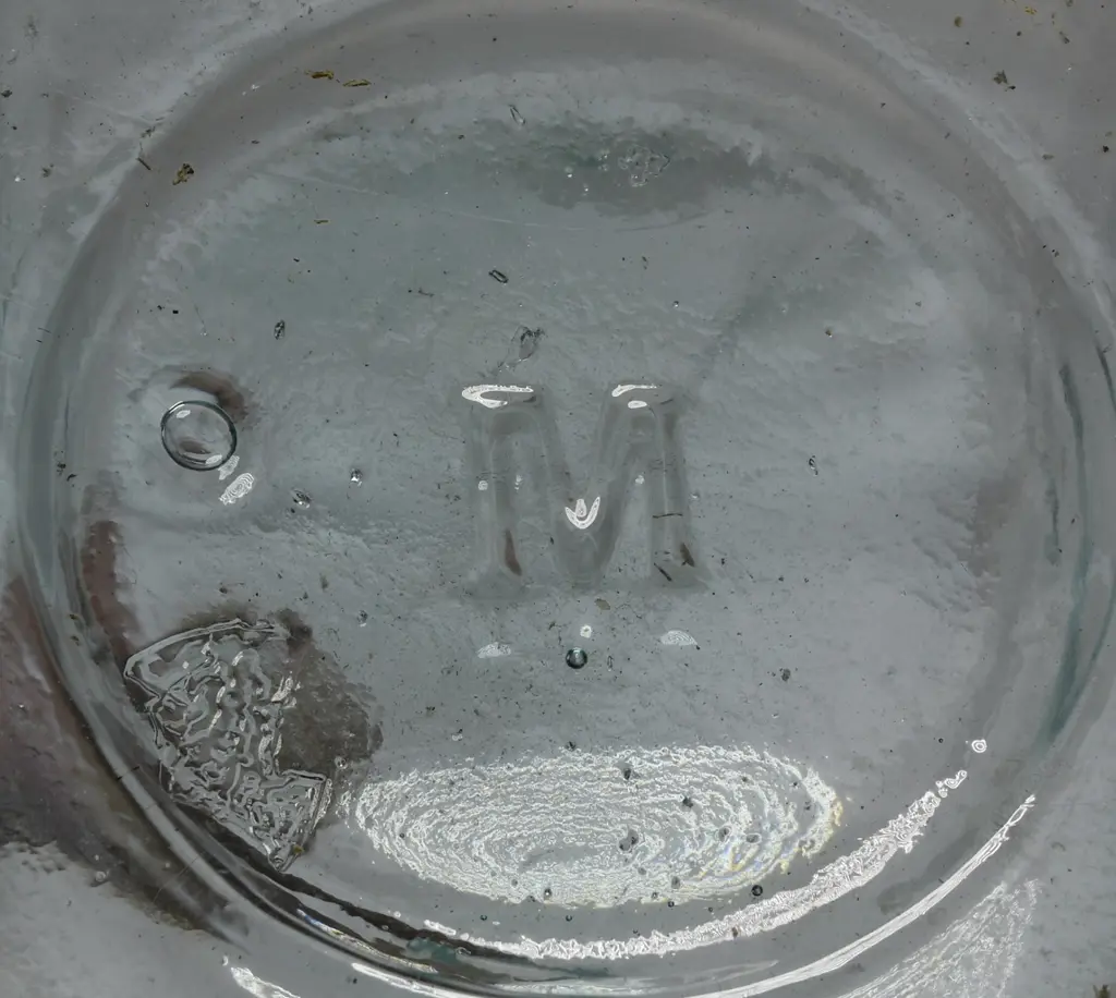 RADAM'S MICROBE KILLER Image 1++