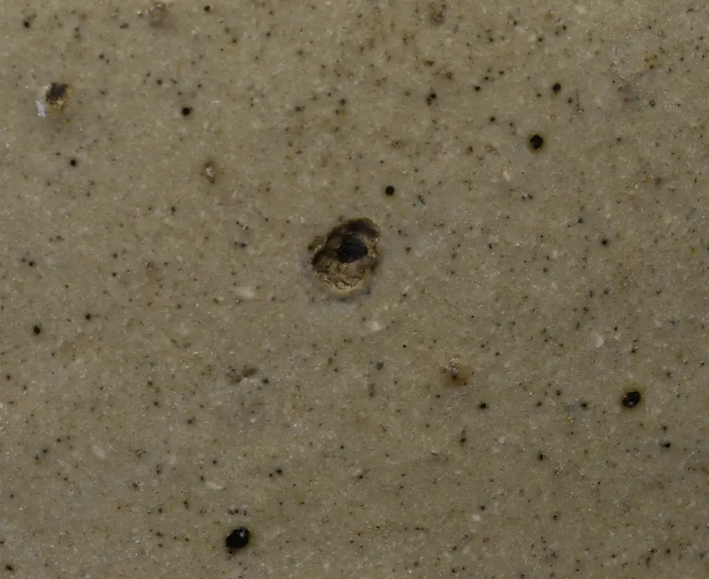 CORDIALS LTD TIMARU STONE JAR Image 1++