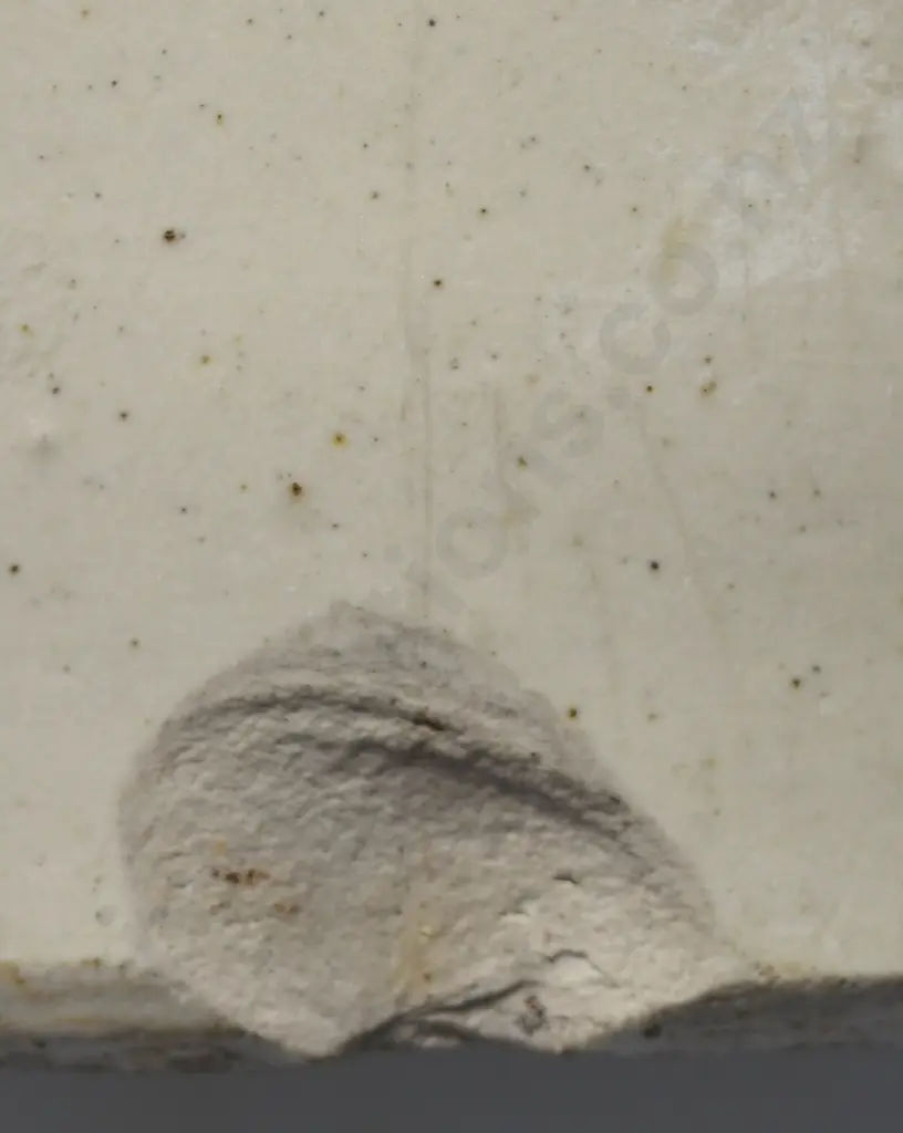 KEMP GORE STONE JAR Image 1++