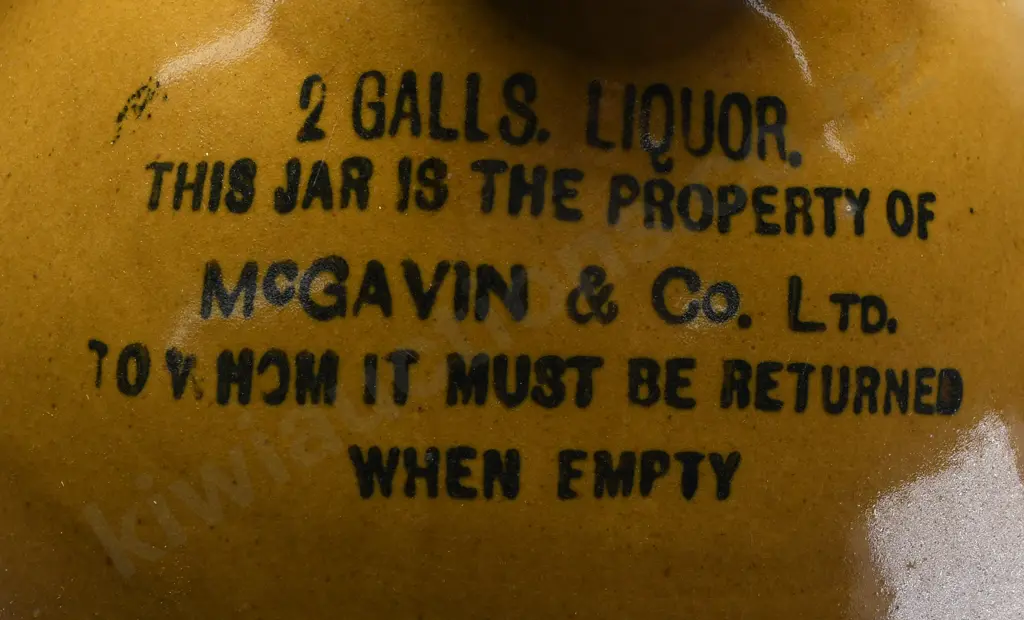 MCGAVIN DUNEDIN STONE JAR Image 1++