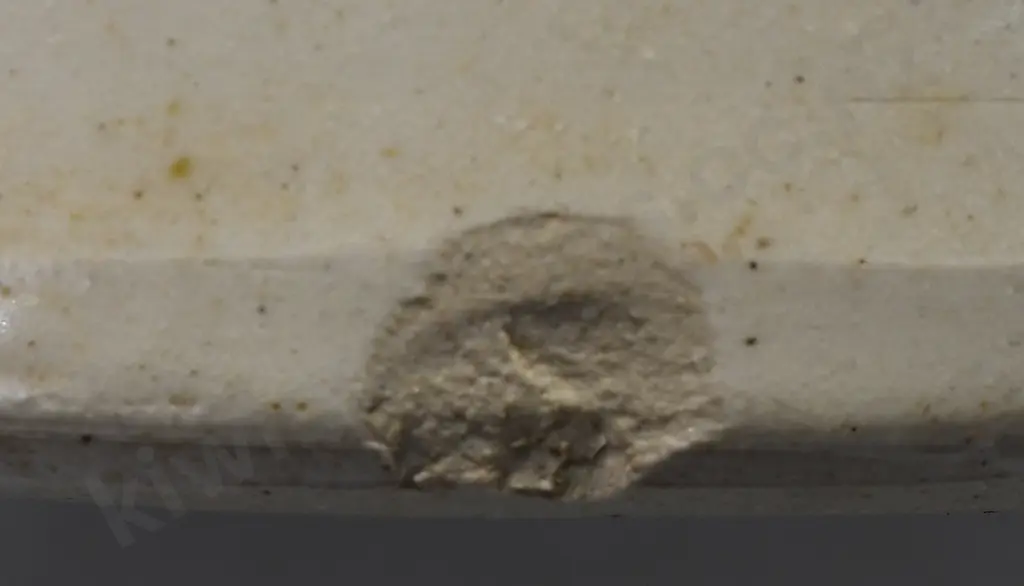 MURPHY & CHILDS NEW PLYMOUTH STONE JAR Image 1++