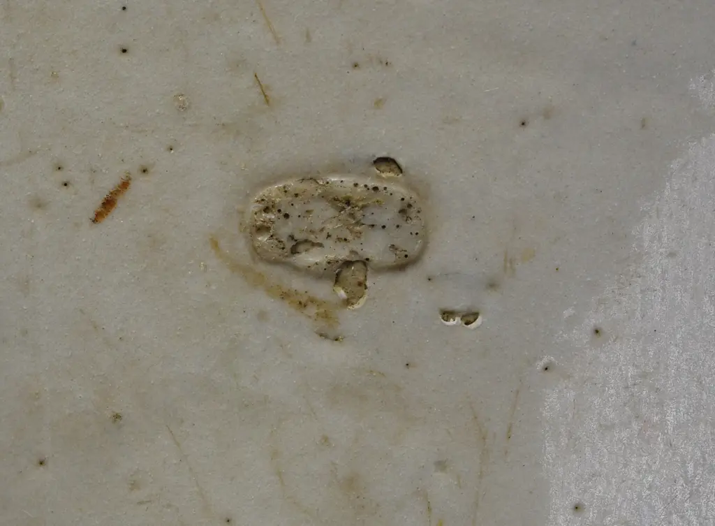 MURPHY NEW ZEALAND STONE JAR Image 1++