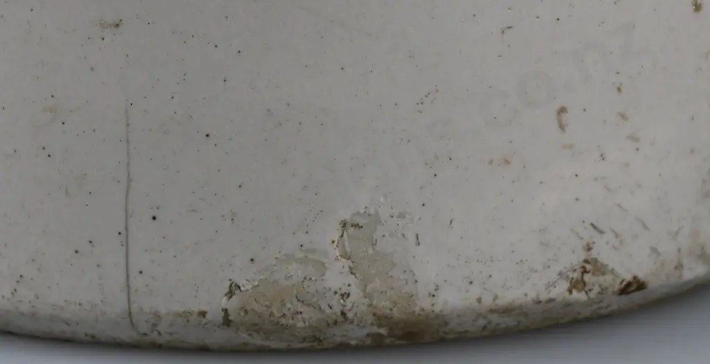 POWLEY & KEAST SPEIGHTS DUNEDIN STONE JAR Image 1++