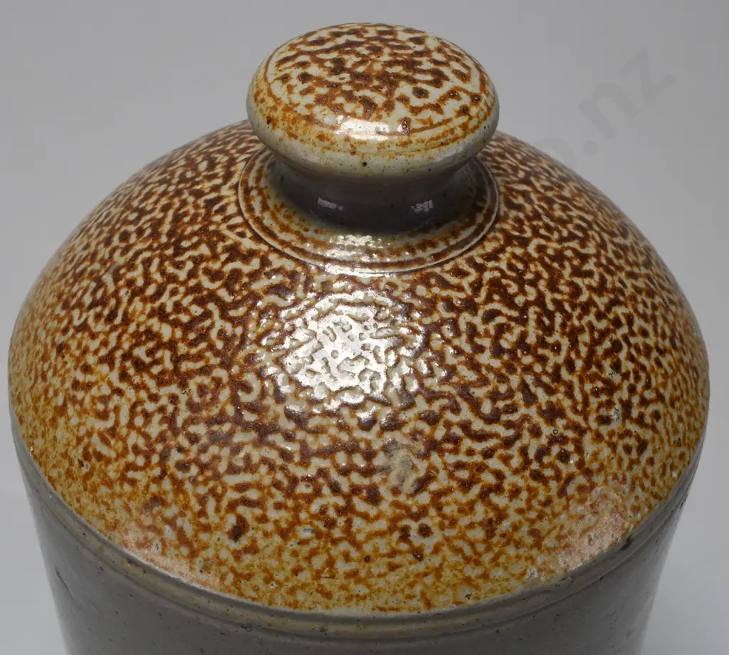 LAMBERT POTTERY DUNEDIN FEEDER Image 1++