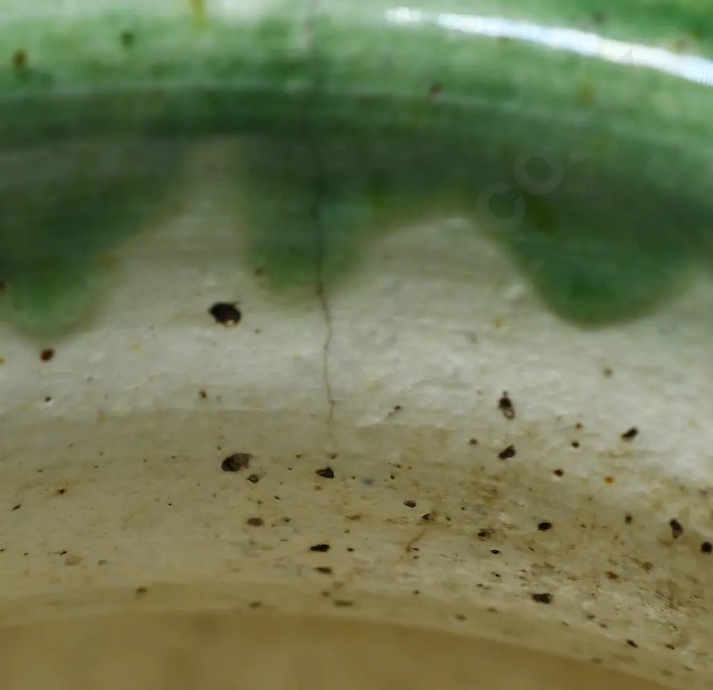 RANCICH AUCKLAND JUG Image 1++