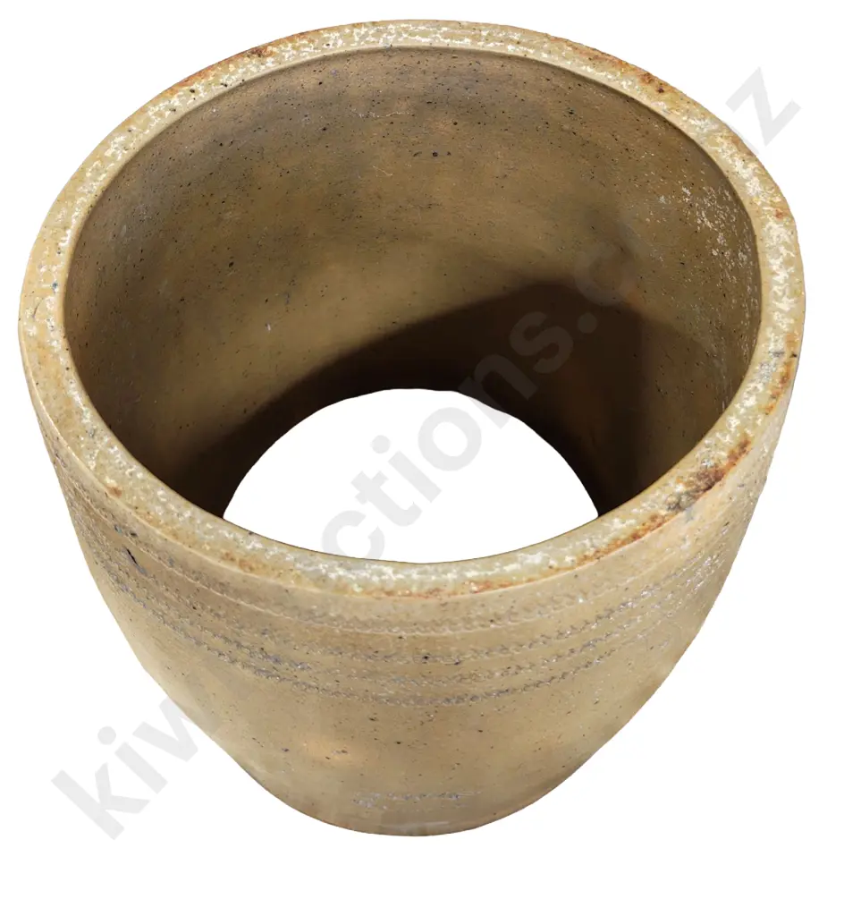 HOMEBUSH POTTERY RHUBARB FORCER Image 1++