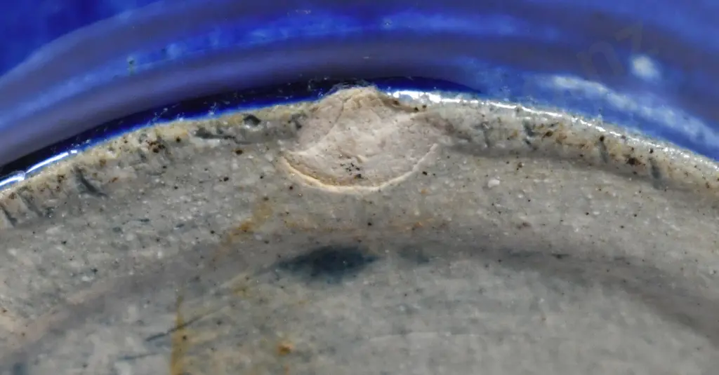 LUKE ADAMS ACORN JUG Image 1++