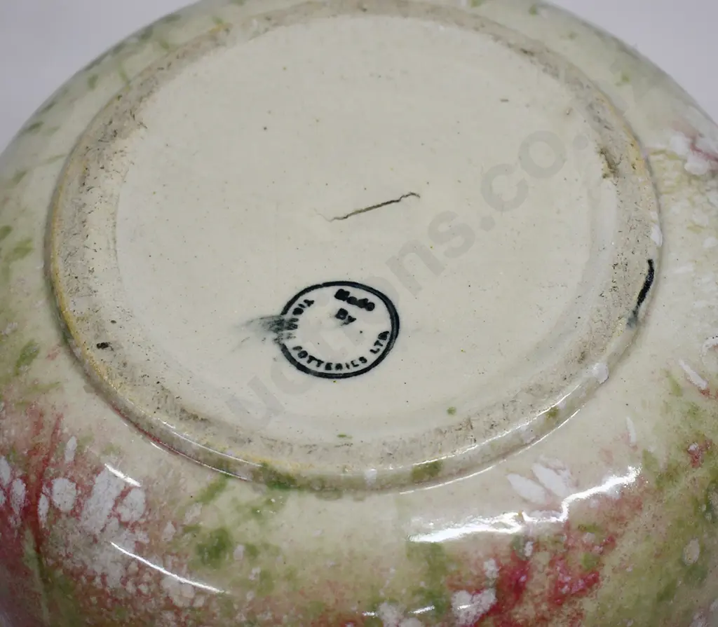 TIMARU POTTERIES POTTY Image 1++