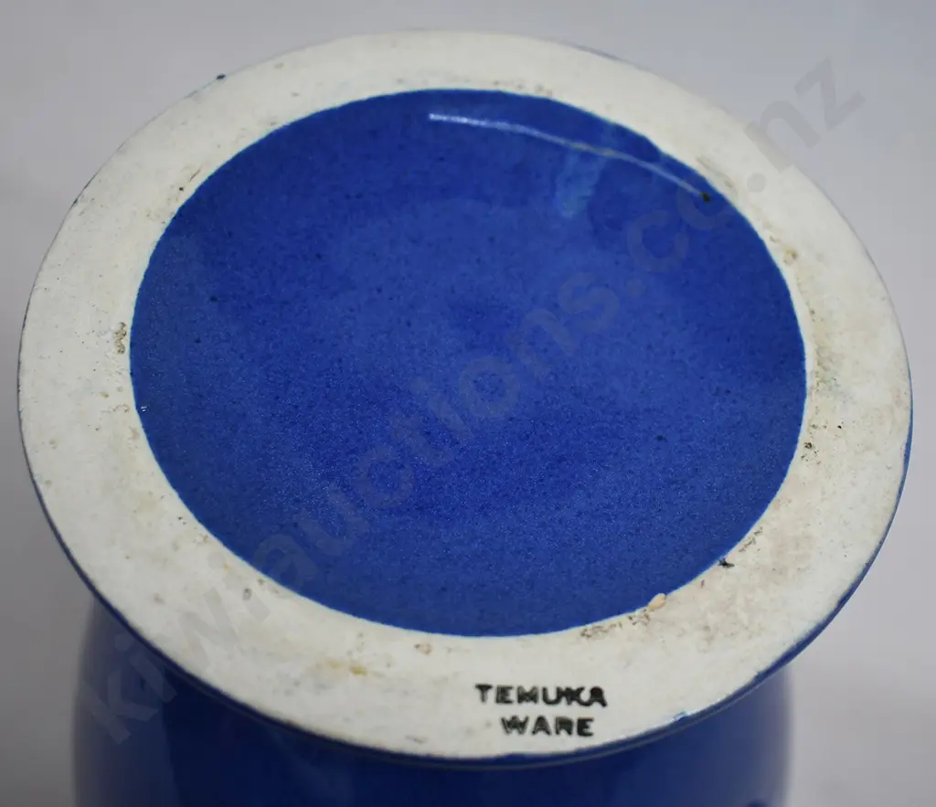 TEMUKA GRECIAN STYLE 2 HANDLED VASE Image 1++