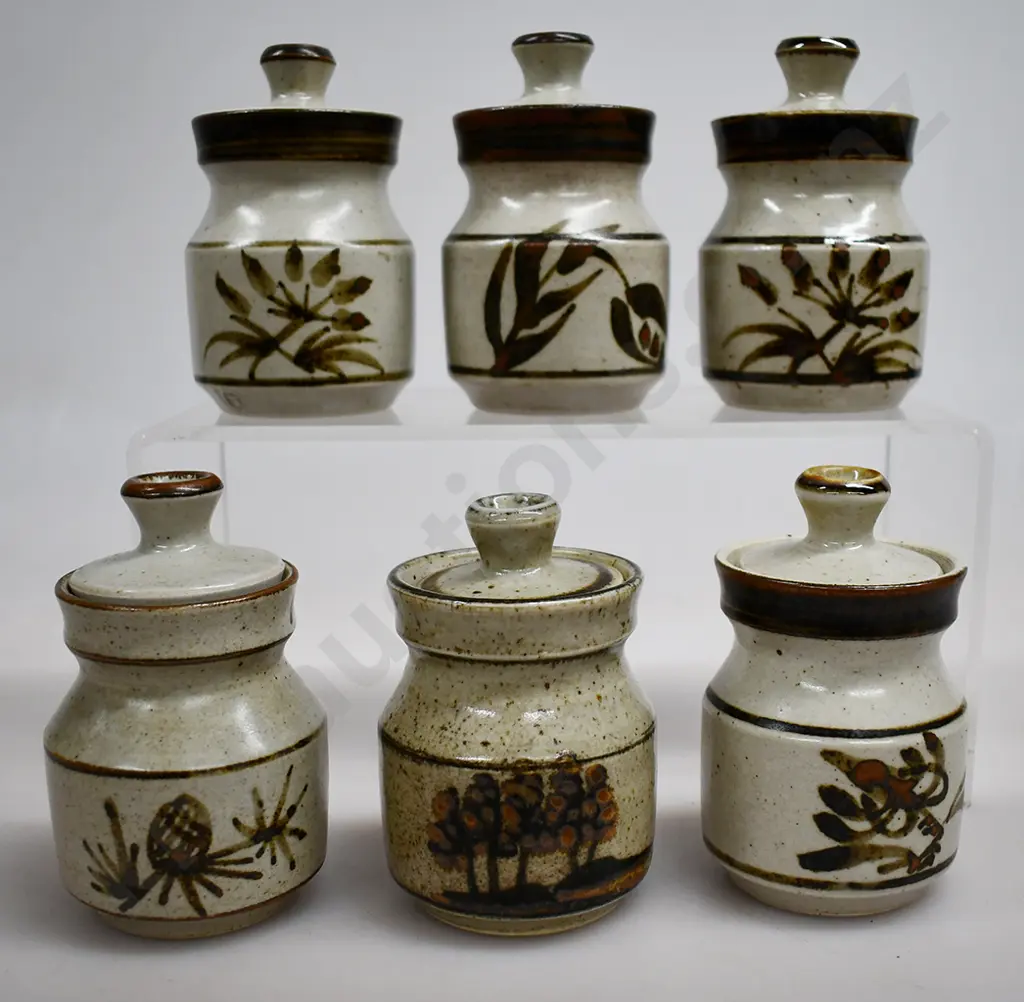 SET OF 6 NEW ZEALAND STUDIO POTTERY SPICE JARS Image 1++