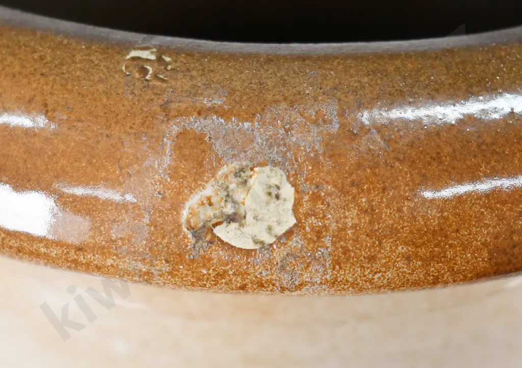 WEST GERMAN POTTERY FLOOR VASES Image 1++