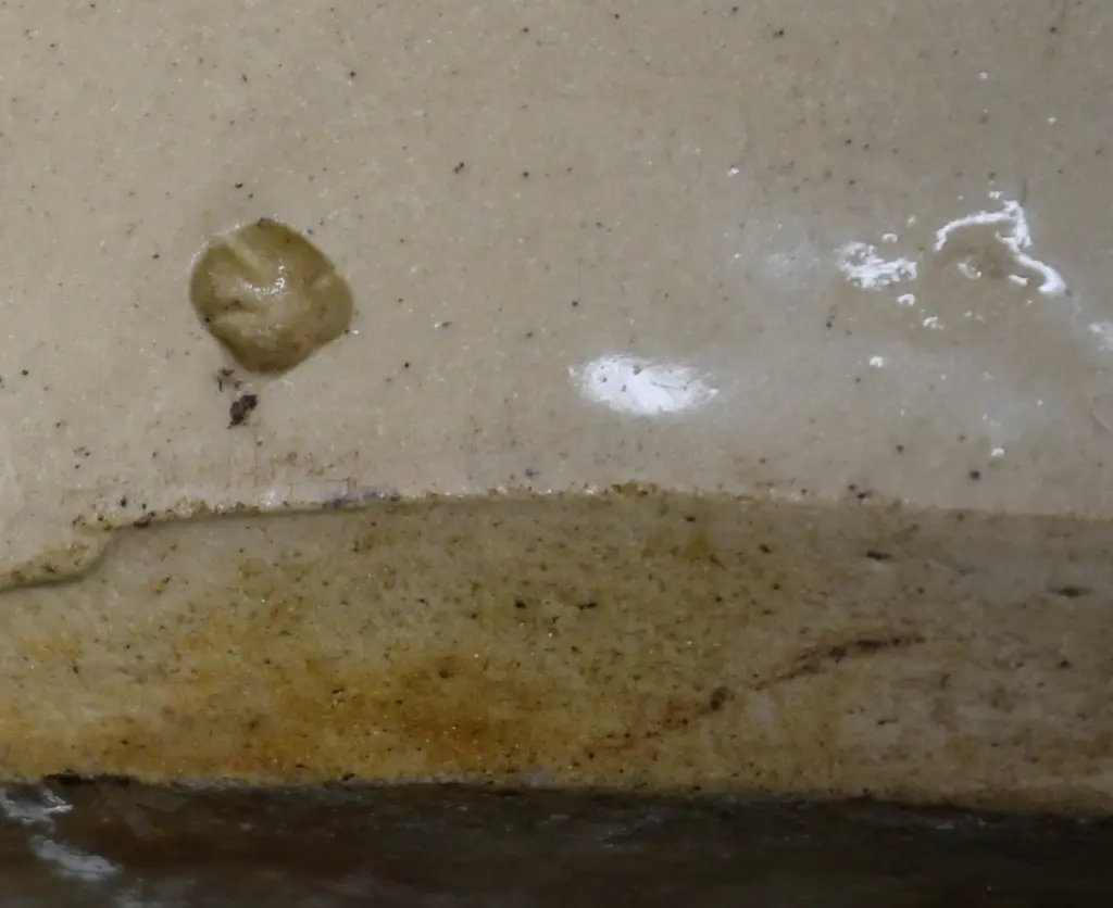 POWLEY SPEIGHTS DUNEDIN STONE JAR Image 1++