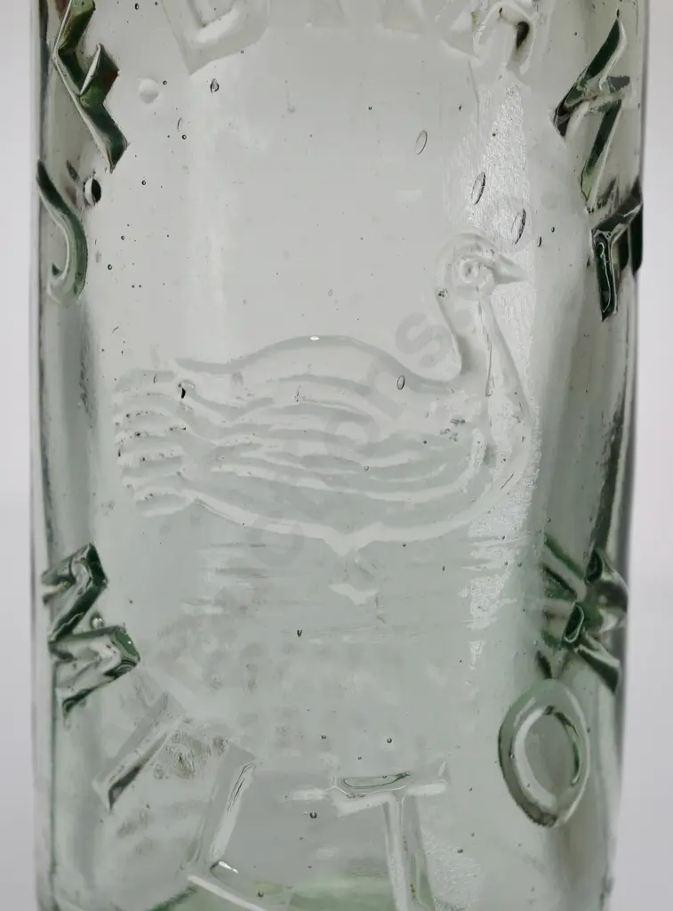 FOSTER WAIMATE CODD Image 1++