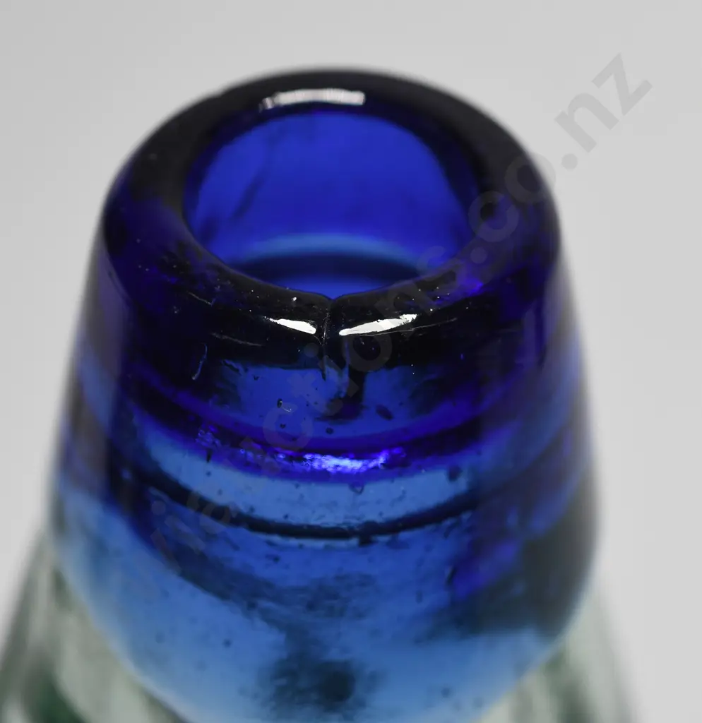 GIFFORD PLOWMAN BLUE LIP CODD Image 1++