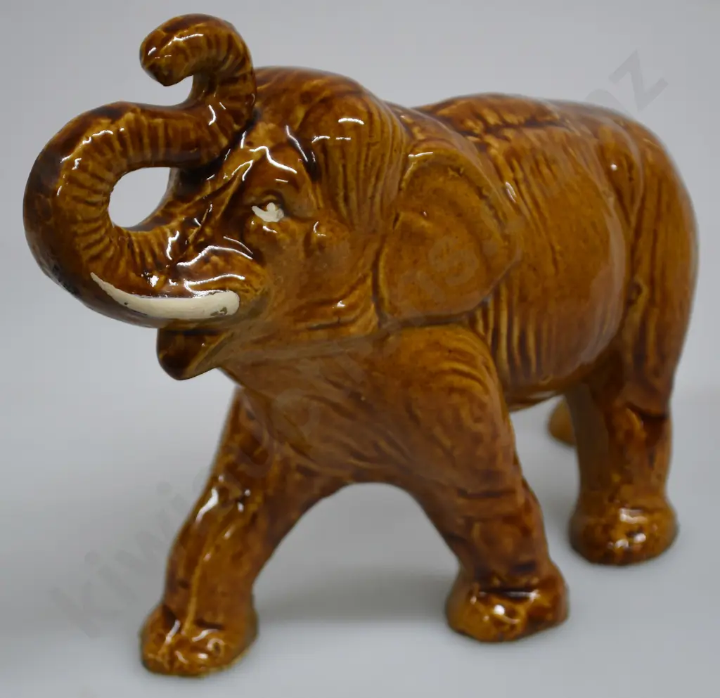 BENHAR ELEPHANT Image 1++