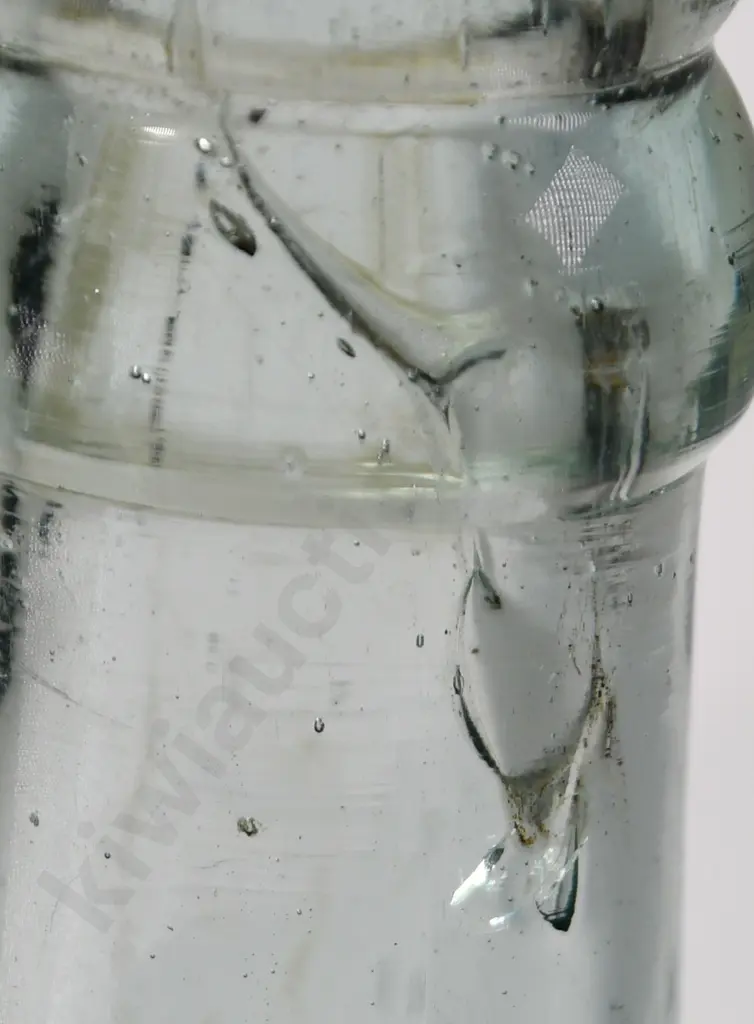 DODSON NELSON CROWN TOP Image 1++