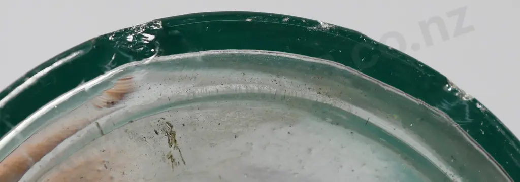 GAWNE DUNEDIN SAUCE Image 1++