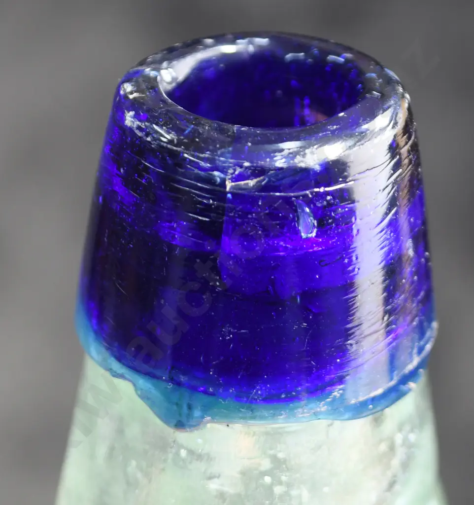 THOMPSON BLUE LIP CODD Image 1++