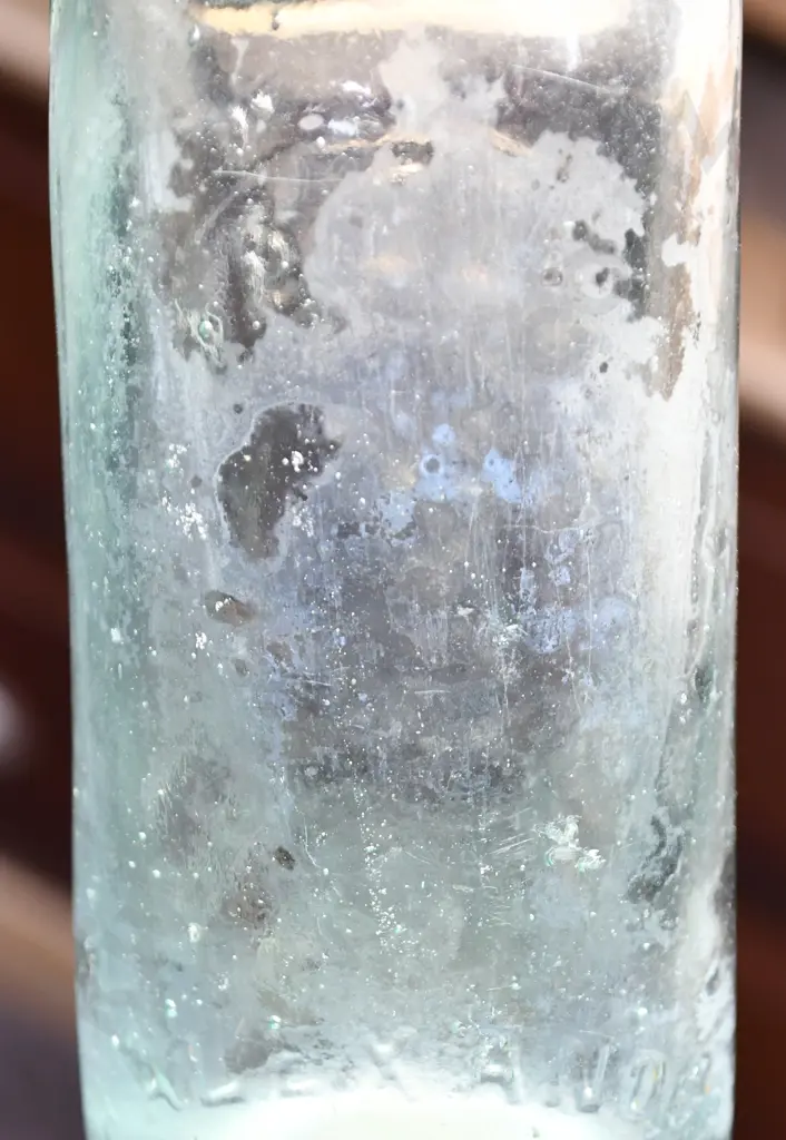 LEE TEMUKA CODD Image 1++