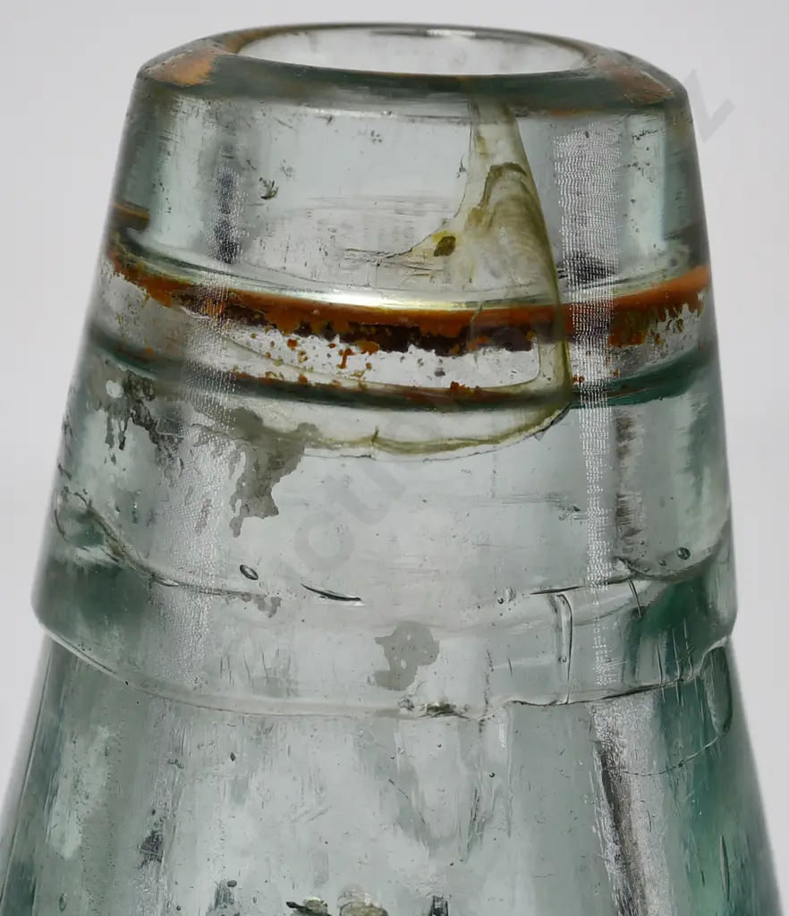 LEE TEMUKA CODD Image 1++