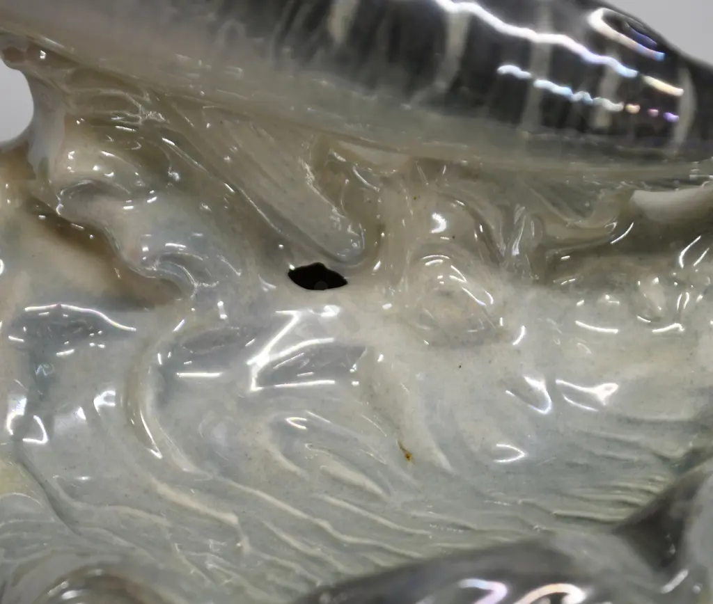 TITIAN SWORDFISH Image 1++