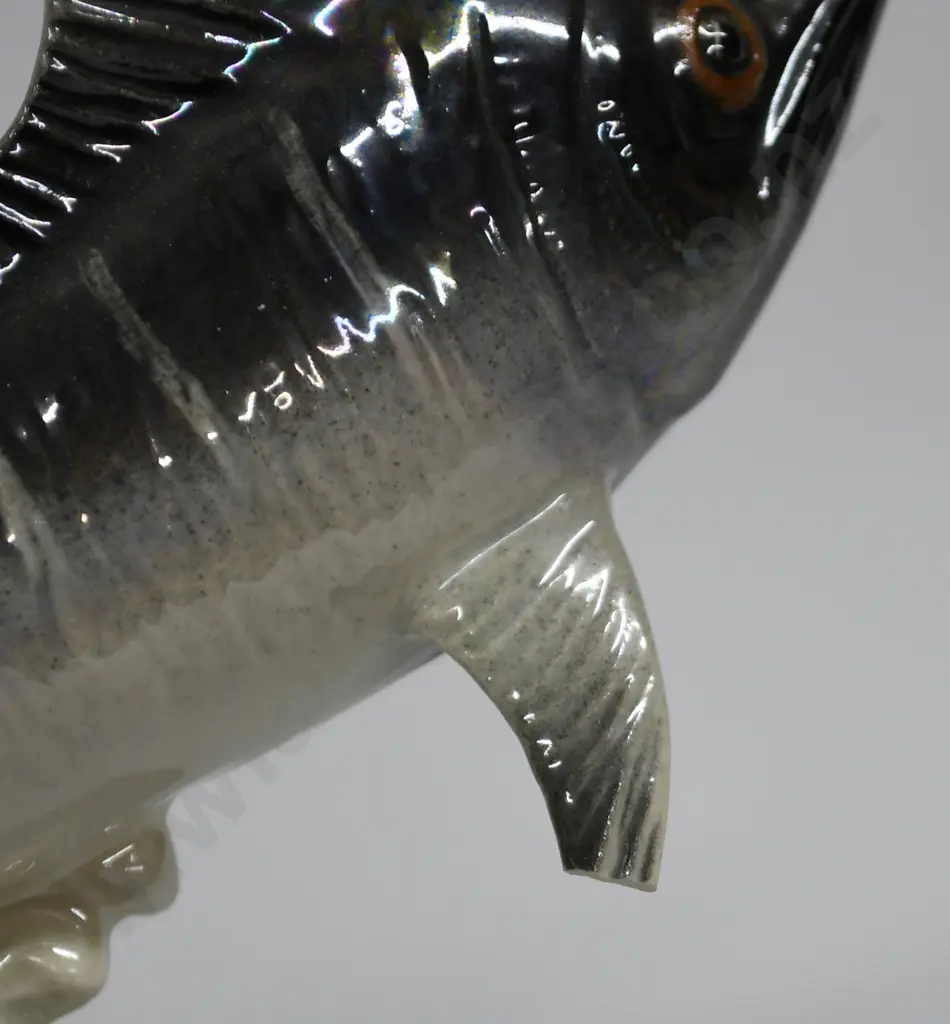 TITIAN SWORDFISH Image 1++