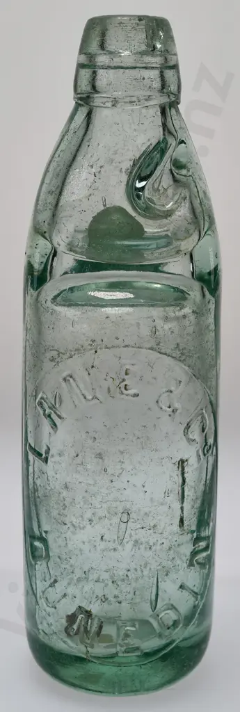 LANE DUNEDIN CODD Image 1++