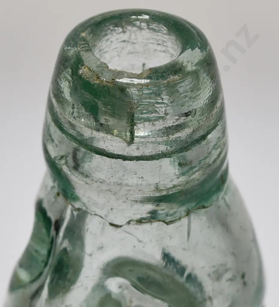 LANE DUNEDIN CODD Image 1++