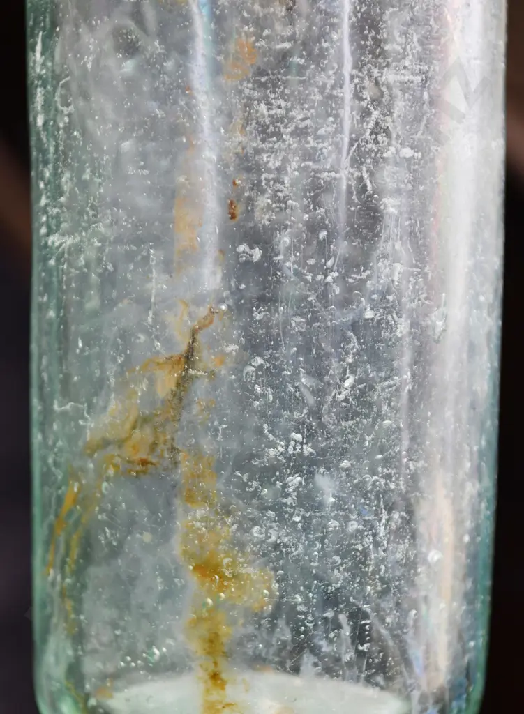 LEES & EVANS CODD Image 1++