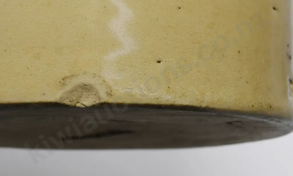 YCC MIXED PICKLES Image 1++