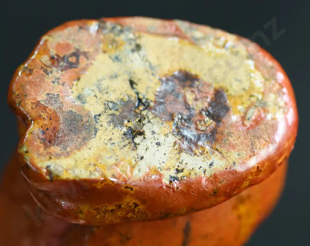 BENHAR ORANGE CAT Image 1++