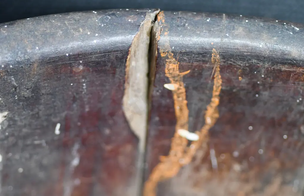 WOODEN MILK PAIL Image 1++