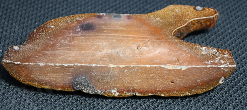 LUKE ADAMS DOG Image 1++