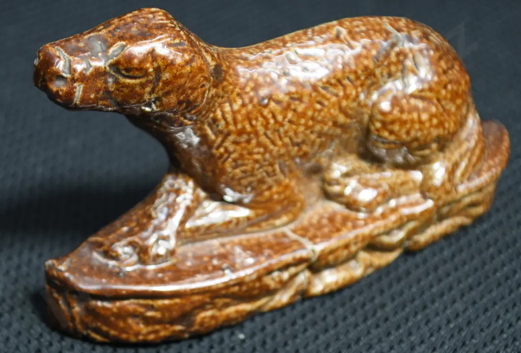 LUKE ADAMS DOG Image 1++