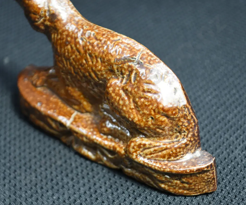 LUKE ADAMS DOG Image 1++